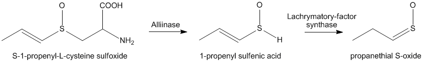 Reaction scheme for the production of propanethial